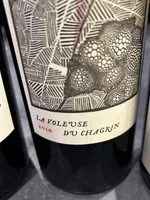 La Voleuse du Chagrin