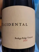 Bodega Ridge Vineyard