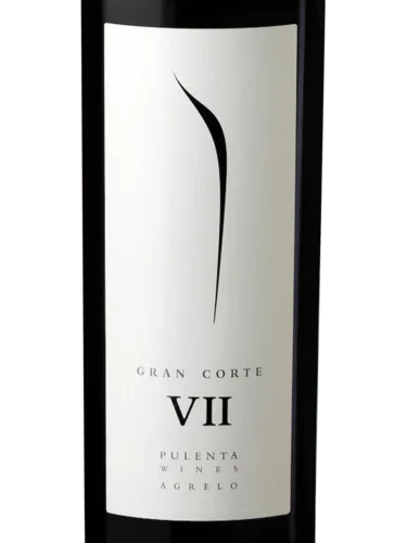 Gran Corte (VII)