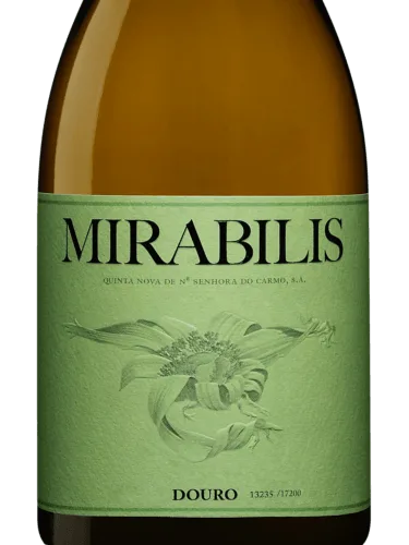 Mirabilis Branco